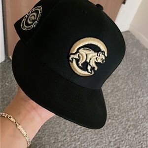 Fitted cub hat